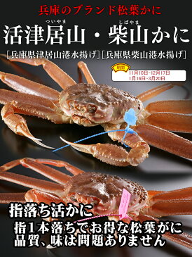 【送料無料】【訳あり指1本落ち】900g-1kg津居山・柴山かにの活松葉かにを直送かにすき、焼きカニ、甲羅焼き、茹でがに