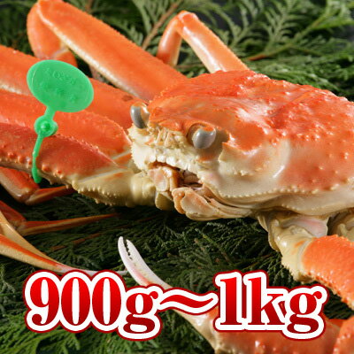 【900g〜1kg】釜ゆで間人かに（湯がき上がり800g〜900g）(11月10日～11月30日／1 ...