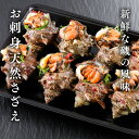 お刺身さざえ(冷凍)