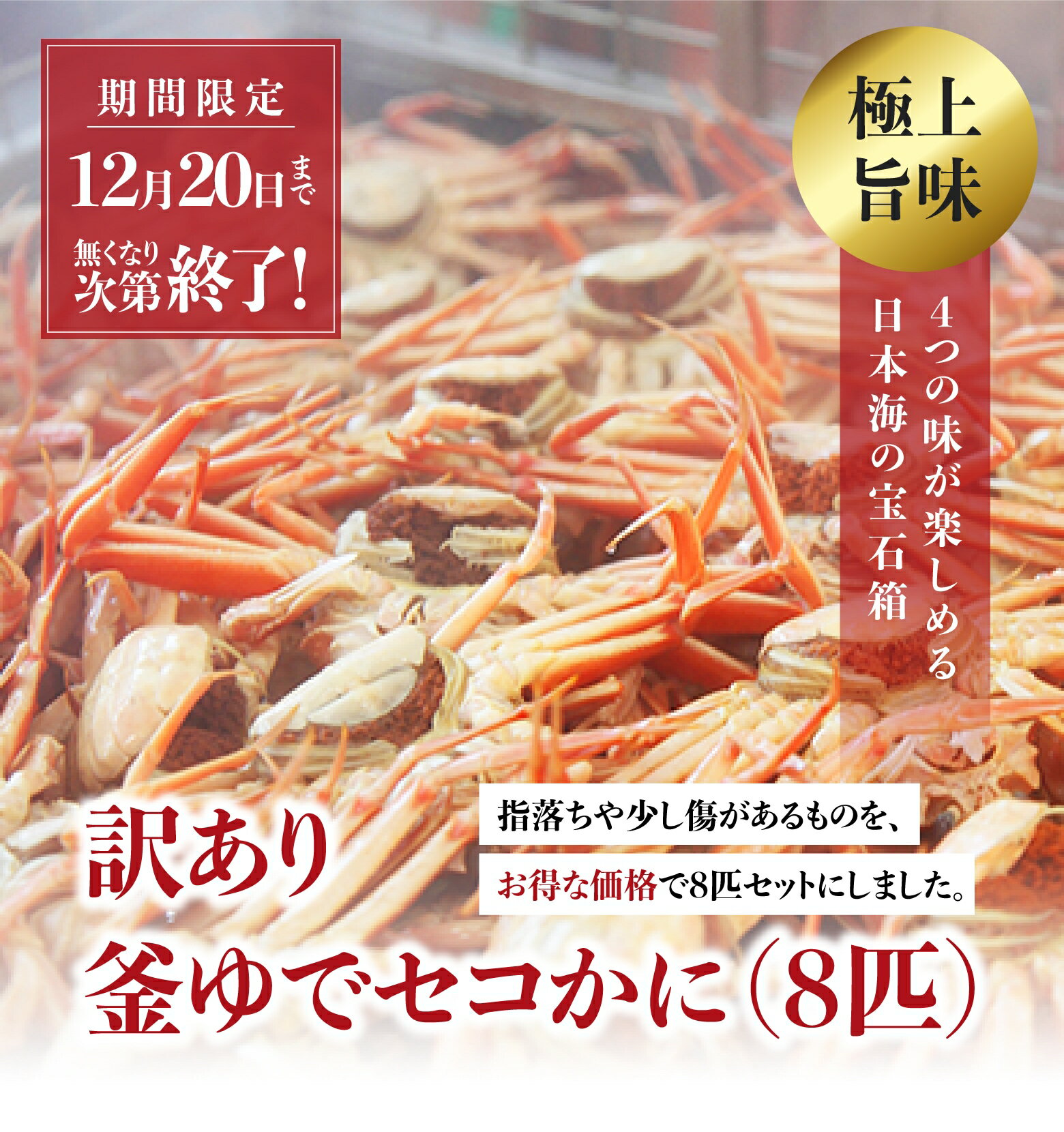 【12月1日〜12月20日のお届け】訳あり釜ゆでセコガニ 中サイズ(150g〜170g) 小サイズ(130g〜150g)8匹