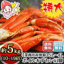 《ポイント最大16倍》【業務用産地箱】特大5L〜4L ボイル本ずわいがに肩脚 【約5kg】 (10〜19肩)【送料無料】 　　［ズワイガニ｜ずわい蟹｜ボイルズワイガニ｜ボイル済み｜カニ脚｜食べ放題｜かに｜カニ｜蟹］《11月23日9:59までエントリーで》