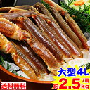 大型4L生ずわい蟹肩脚 7肩(約2.5kg)【送料無料】[生...