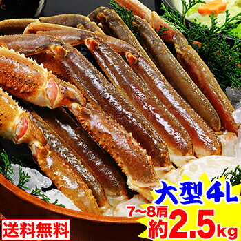 大型4L生ずわいがに肩脚 7～8肩（約2.5kg）【送料無料】［ 生ズワイガニ 生ずわいがに 生ずわい蟹 肩脚のみ ずわい蟹…