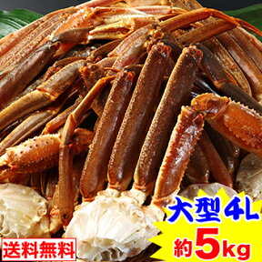 最安値に挑戦！大型4L生ずわいがに肩脚 14～16肩（約5kg）【送料無料】［ 生ズワイガニ 生ずわいがに 生ずわい蟹 肩脚のみ ずわい蟹 ズワイガニ かに ズワイ蟹］