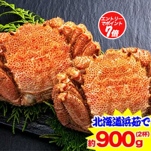 【ポイント必ず7倍！】北海道紋別浜茹で 毛がに姿 2杯（約900g）【11/14 20:00-16 23:59迄エントリーで】