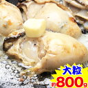 広島県産かき剥き身 約800g