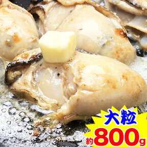 【大粒】広島県産かき剥き身 約800g