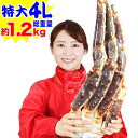 期間限定!クーポンで8,900円★特大4L生たらばがに肩脚1肩(総重量約1.2kg)[ 生タラバガニ 生タラバ蟹 生たらば蟹 特大 かに カニ 蟹 たらば蟹 タ...