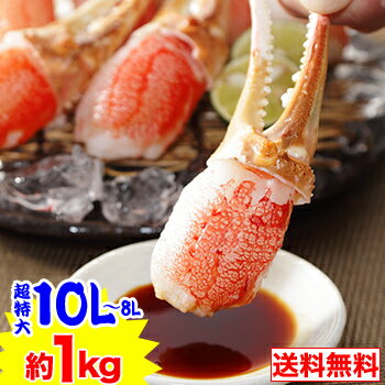 【お刺身OK】超特大10L～8L生ずわい爪むき身15～22本（約1kg）［ 生食用 生ズワイガニ 生 ...