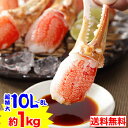 【お刺身OK】超特大10L～8L生ずわい爪むき身15～22本（...