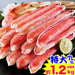 特大7L～5L 生ずわい蟹半むき身満足セット 900g超【総重量約1.2kg】［ 剥き身 生ずわい 生ズワイ 生ずわい蟹 ずわい蟹 ズワイガニ ズワイ かに カニ お歳暮］