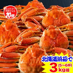 【ポイント必ず10倍！】北海道紋別浜茹で ずわいがに姿5〜6杯（約3kg）【11/30 00:00-23:59迄エントリ..