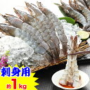 【刺身用】鮮度極生えび約1kg(5尾×6P)