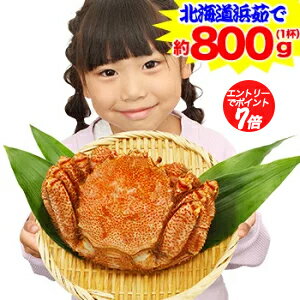 【ポイント必ず7倍！】特大 北海道浜茹で毛がに姿1杯(約800g)【11/14 20:00-16 2 ...
