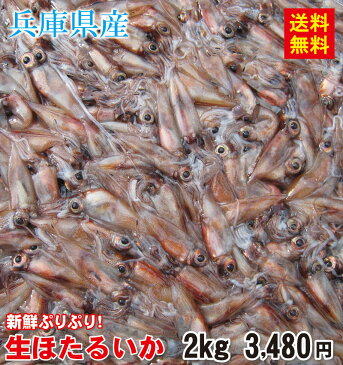 【送料無料】兵庫県産　生ほたるいか（新物）2kg(250g×8パック)【生冷凍】【ほたるいか ホタルイカ 蛍烏賊 いか イカ 烏賊 山陰 生ホタルイカ 生ほたるいか】