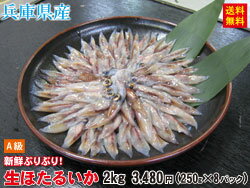 【送料無料】兵庫県産　生ほたるいか（新物）2kg(250g×8パック)【生冷凍】【ほたるいか ホタルイカ 蛍烏賊 いか イカ 烏賊 山陰 生ホタルイカ 生ほたるいか】