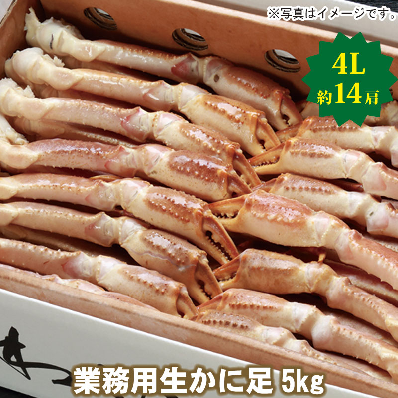 【21-047】業務用生ずわいかに足　5kg超　4L　（約14肩） カニ ズワイガニ 送料無料 かに 蟹 ギフト お取り寄せグルメ