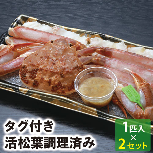 【23-131】タグ付き活松葉がに調理済み 約600g （2箱セット）(冷凍) 【松葉かに】【松葉ガニ】【まつばかに】【香住】