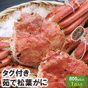 【23-026】茹で松葉がに　800g以上　(冷凍又は冷蔵)　【松葉かに】【松葉ガニ】