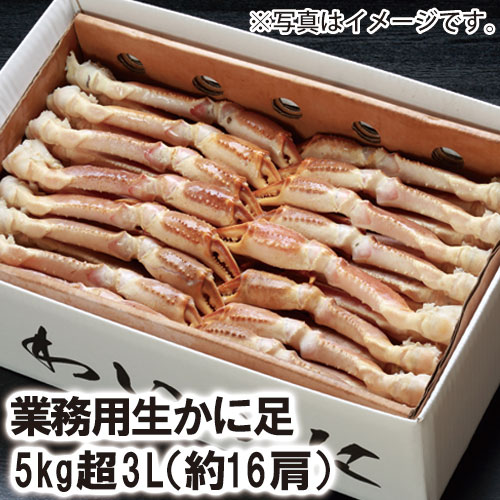 【23-050】業務用生ずわいかに足 5kg超3L （約16肩）カニ ズワイガニ 送料無料 かに 蟹 ギフト お取り寄せグルメ