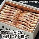 【23-051】業務用生ずわいかに足 5kg超 4L （約14肩） カニ ズワイガニ 送料無料 かに 蟹 ギフト お取り寄せグルメ