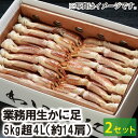 【23-151】業務用生ずわいかに足 5kg超 4L （約14肩）（2箱セット） カニ ズワイガニ 送料無料 かに 蟹 ギフト お取り寄せグルメ