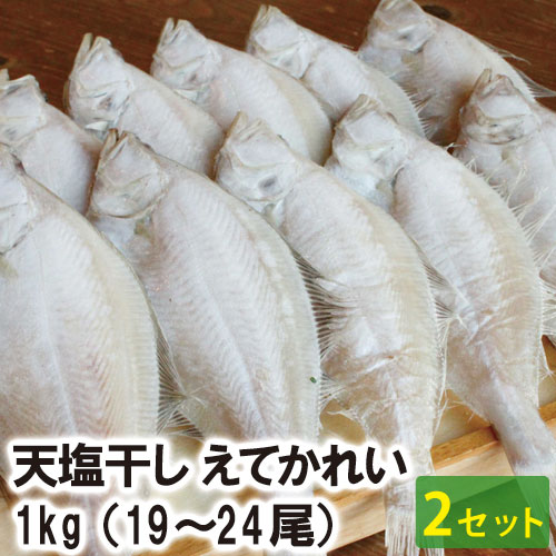 天塩干えてかれい 1kg （9～12尾）（2箱セット）（冷凍）