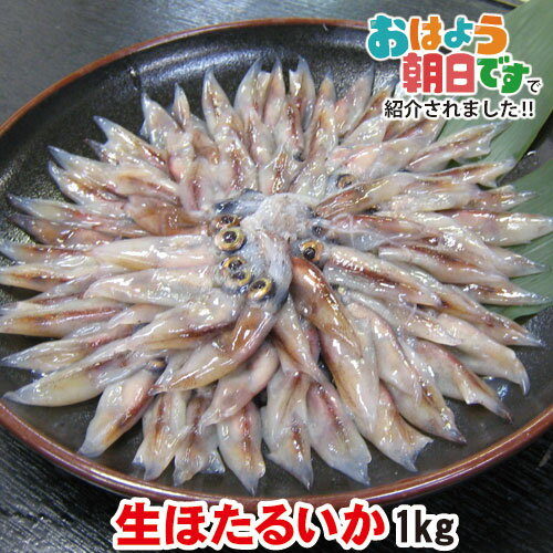 丸昇物産 イカの墨汁 250g×1箱 沖縄 人気 定番 土産 汁物 沖縄伝統料理