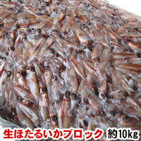 ホタルイカ ほたるいか ブロック 約10kg 業務用 塊 かたまり 船内冷凍 送料無料 日...