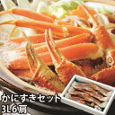 【24-047】かにすきセット3L6肩ダシ付 カニ ズワイガニ 送料無料 かに 蟹 ギフト お取り寄せグルメ