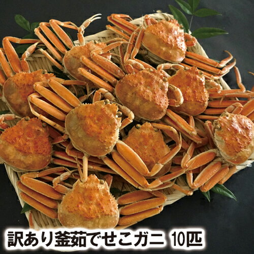 25-022觤Ǥˡ10ɤå(140g10ˡ()ڥˡۡڤˡۡھեˡۡھդˡۡھե˻