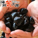北海道 網走産 冷凍 しじみ 500g シジミ 蜆 味噌汁 お吸い物 シジミ汁 しじみ汁 砂出し済 砂出し不要 ギフト 土用しじみ オルニチン スタミナ 同梱お...