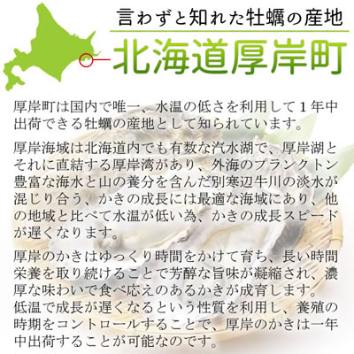 父の日 ギフト 牡蠣 生食 殻付き Mサイズ 40個 牡蠣 送料無料 北海道 厚岸産 牡蠣 北海道 お取り寄せ 海鮮 ギフト グルメ プレゼント 贈答品 お土産 贈り物 記念日 記念品 北海道 ご挨拶 バースデー 御中元 お中元