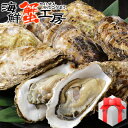 お歳暮 送料無料 牡蠣 殻付き Mサイズ 20個 牡蠣 生食 北海道 お取り寄せ グルメ 海鮮 ギフト