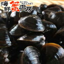 北海道 網走産 冷凍 しじみ 250g シジミ 蜆 味噌汁 お吸い物 シジミ汁 しじみ汁 砂出し済 砂出し不要 ギフト 土用しじみ オルニチン スタミナ 同梱お...