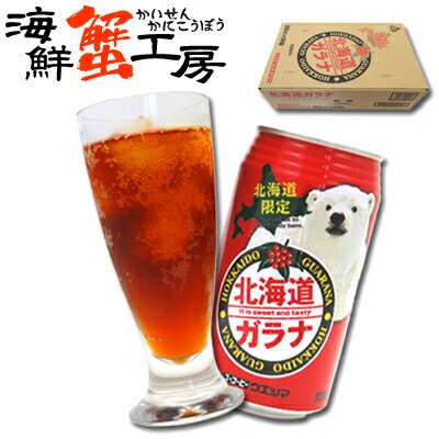 ガラナ 北海道限定 北海道ガラナ1本350ml×24本 1ケース 1本あたり87.5円炭酸飲料 サイダー ご当地グルメ お土産北海道 お取り寄せ ギフト