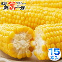 とうもろこし 味来 15本 約6.5kg 北海道 十勝 産地直送 トウモロコシ コーン とうきび 獲れたて みらい 玉蜀黍 プレゼント 贈り物 お取り寄せ 北海...