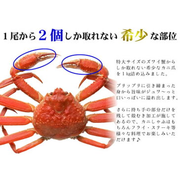 ズワイガニ カニ爪 5L サイズ 1kg 3人前カニ ギフト 送料無料 ポーション かにむき身 蟹 北海道 お取り寄せ 海鮮 贈り物誕生日祝 内祝 御祝 記念品 ギフト グルメ