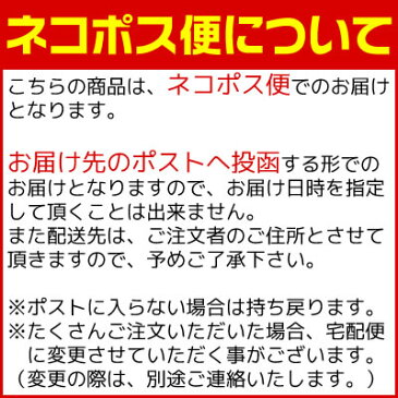 わんにゃんトバ スティックタイプ 140gペット おやつ 犬 猫 ごはん 鮭とばメール便 送料無料 無添加 ドックフードキャットフード お取り寄せ ギフト代引き不可 お届け日時指定不可