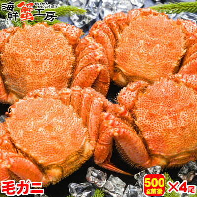 毛ガニ 北海道 オホーツク海産 毛がに 500g前後 4尾 ボイル冷凍 毛がに ギフト 送料無料 ボイル カニ 北海道 お取り…