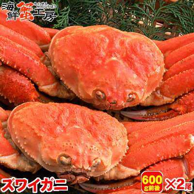 ボイル ズワイガニ 姿 600g前後 2尾 カニ 蟹　かに ずわいがに ずわい蟹 ズワイ蟹 北海道 グルメ ギフ..