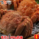 \ポイント10倍★楽天スーパーSALE限定エントリー必須/ボイル毛ガニ 北海道 オホーツク海産 660g前後 2尾 冷凍 毛がに 毛蟹 カニ かに 蟹 誕生日祝 内祝 御礼 御祝 ギフト お取り寄せ 残暑見舞 お中元 父の日