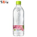 EÉE  540mlPET~24{ EÉE i lohas momo ybg{g pet bottle 24  VR 