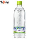 い・ろ・は・す ハスカップ 540mlPET×24本 i lohas ペットボトル pet bottle 24 水 天然水 ハスカップ はすかっぷ hokkai...
