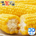 とうもろこし 味来 30本 約13kg 北海道 十勝 産地直送 トウモロコシ コーン とうきび 獲れたて 新鮮 玉蜀黍 送料無料プレゼント 贈り物 お取り寄せ ...