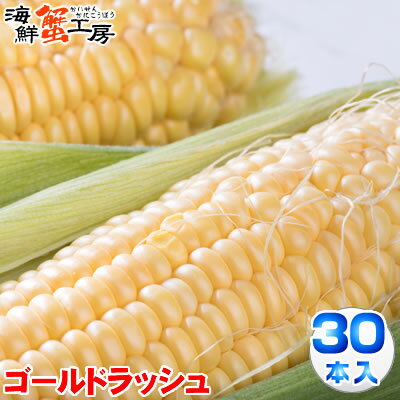 とうもろこし ゴールドラッシュ 30本 約13kg 北海道 十勝 産地直送 トウモロコシ コーン とうきび 獲れたて 新鮮 玉蜀黍 送料無料 プレゼント 贈り物 お取り寄せ グルメ 8月中旬以降順次発送 配送日指定不可 同梱不可 代引不可 とうもろこし ゴールドラッシュ 30本 約13kg 北海道 十勝 産地直送 トウモロコシ コーン とうきび 獲れたて 新鮮 玉蜀黍 送料無料 プレゼント 贈り物 お取り寄せ グルメ 8月中旬以降順次発送 配送日指定不可 同梱不可 代引不可