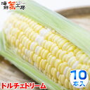 とうもろこし ドルチェドリーム 10本 約4.3kg 北海道 十勝 産地直送 トウモロコシ コーン とうきび 獲れたて 新鮮 玉蜀黍 送料無料 プレゼント 贈り...