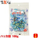 ハッカ飴 100g 永田製飴 北海道 北見 名物 お土産 のど飴 キャンディー メール便 送料無料 クロネコゆうパケット ご当地 ギフト 個包装 誕生日祝 御礼 内祝 お取り寄せ グルメ