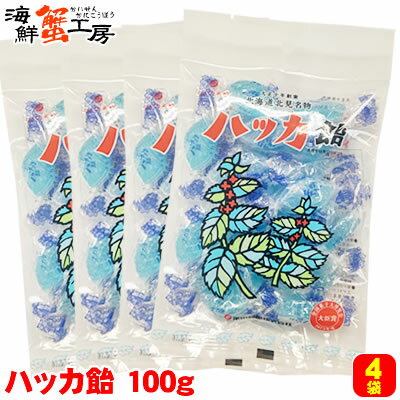 ハッカ飴 100g 4個セット 永田製飴 北海道 北見 名物 お土産 のど飴 キャンディー メール便 ...