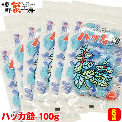 ハッカ飴 100g 6個セット 永田製飴 北海道 北見 名物 お土産 のど飴 キャンディー メール便 送料無料 クロネコゆうパケット ご当地 ギフト 個包装 誕...